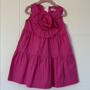 Zara Vibrant Pink Dress